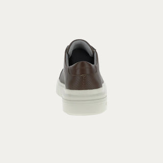 ZAPATILLA  CORDON PHOENIX MARRON.